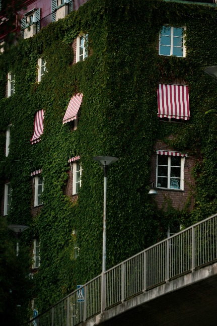 Building12